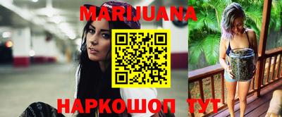 прущие крисы Шелехов